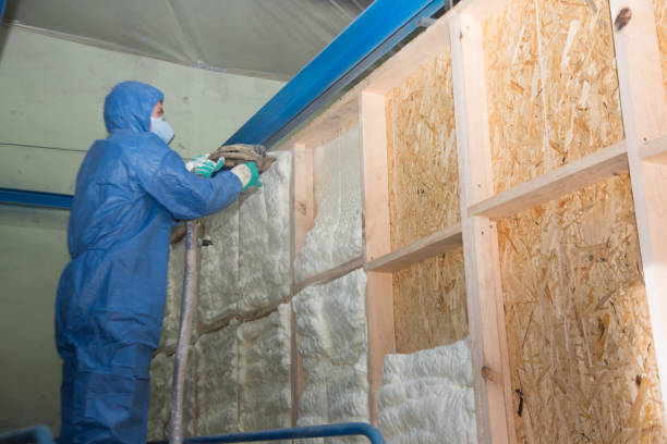 Best Residential Insulation Services  in Conesus Lake, NY